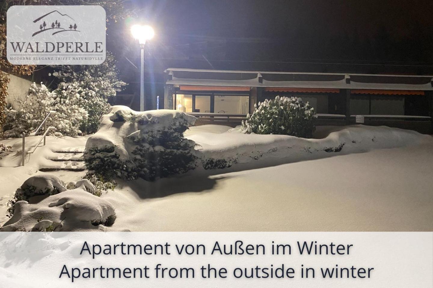 Exklusives 5-Sterne Apartment Waldperle Mit Indoor-Pool, Sauna, Top Lage Und Ausblick In Die Natur, Hunde Willkommen Schonach im Schwarzwald Dış mekan fotoğraf
