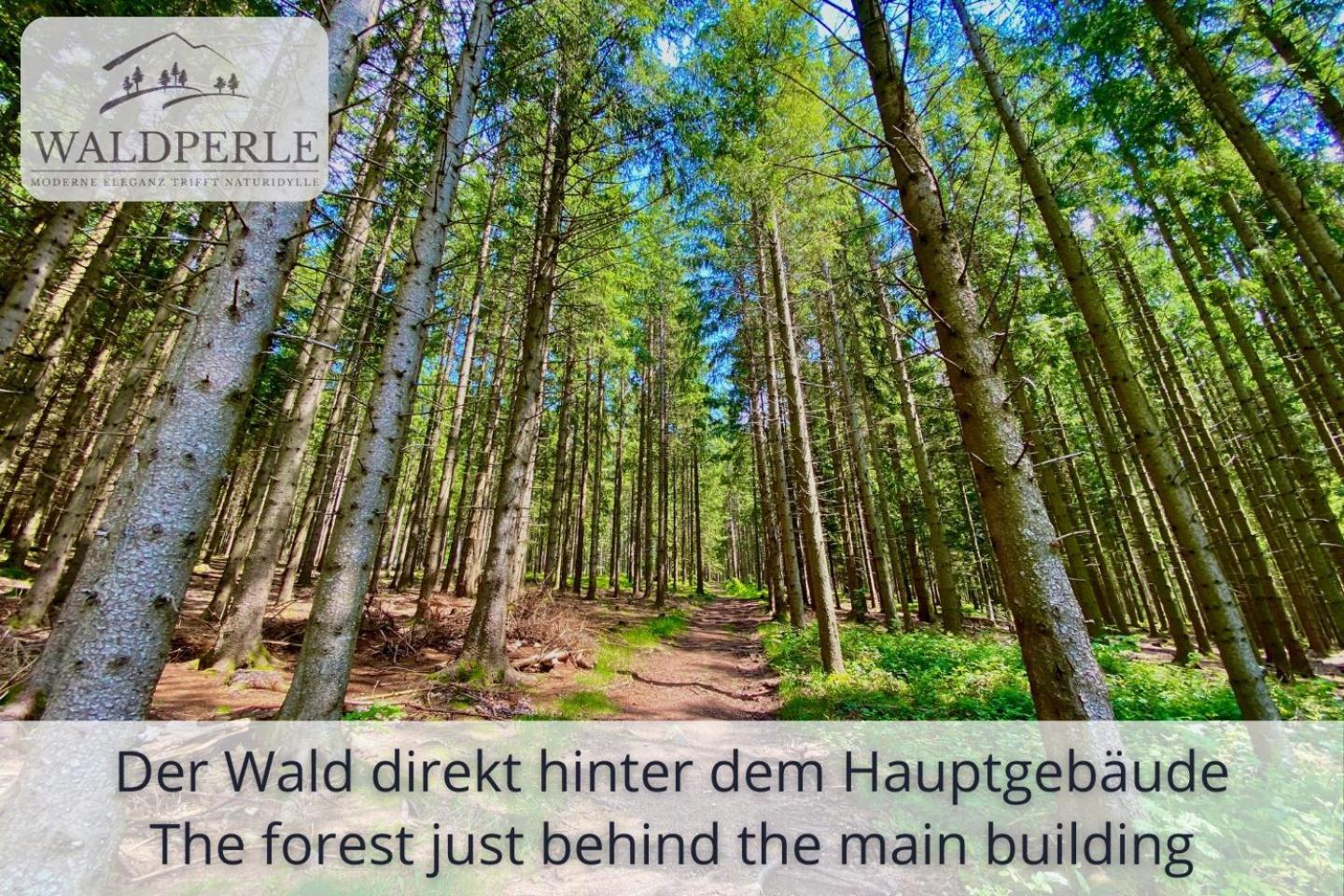 Exklusives 5-Sterne Apartment Waldperle Mit Indoor-Pool, Sauna, Top Lage Und Ausblick In Die Natur, Hunde Willkommen Schonach im Schwarzwald Dış mekan fotoğraf