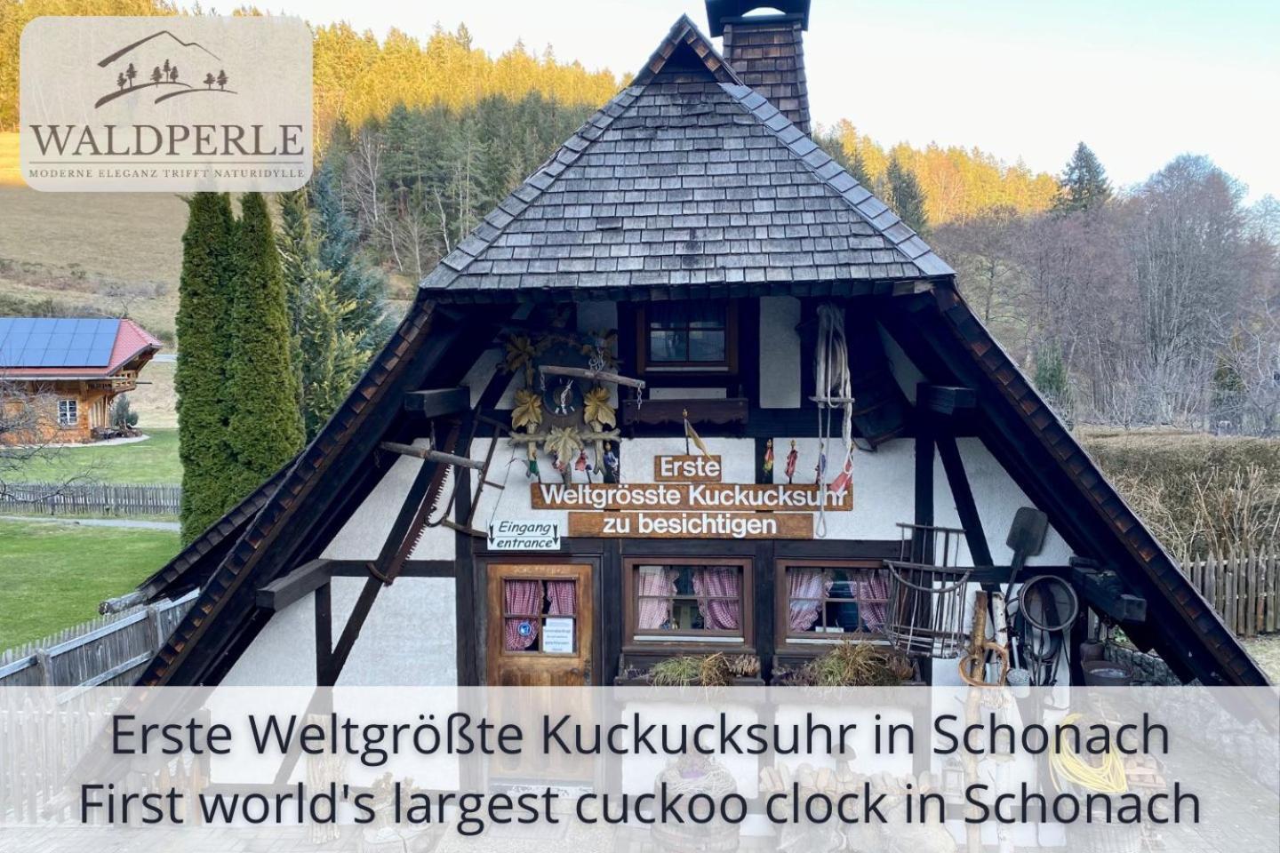 Exklusives 5-Sterne Apartment Waldperle Mit Indoor-Pool, Sauna, Top Lage Und Ausblick In Die Natur, Hunde Willkommen Schonach im Schwarzwald Dış mekan fotoğraf